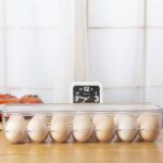 14 Egg Holder with Lid and Handle for Refrigerator - Image 2