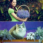 4 pcs Artificial Flocking Lavender - Image 3